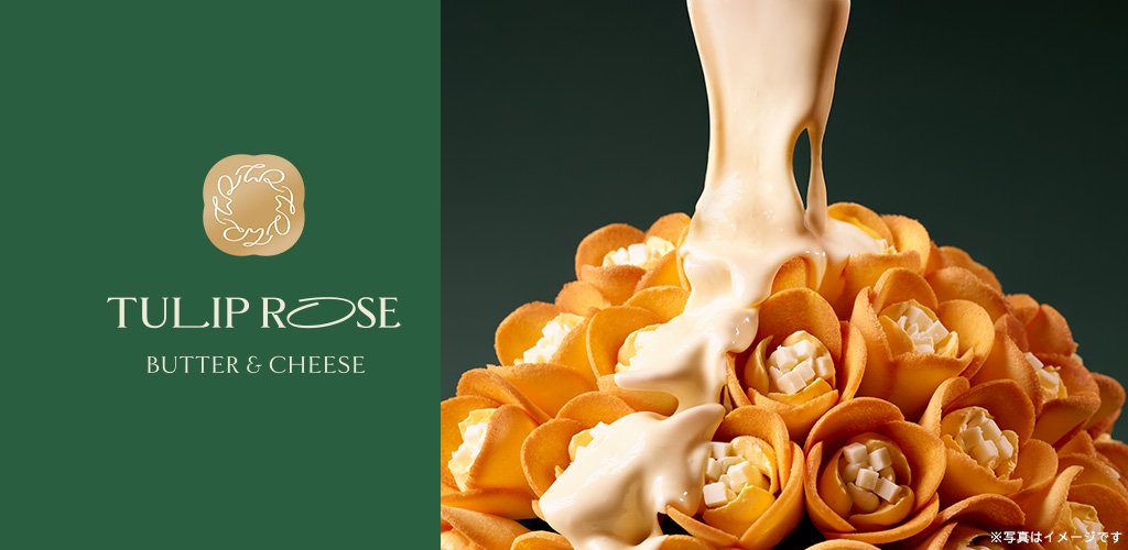 株式会社グレープストーン - GRAPESTONE